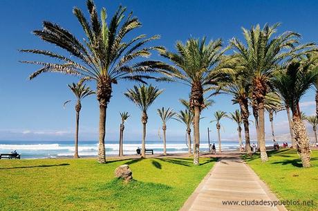 Las excelencias de Arona (Tenerife). FITUR 2013.