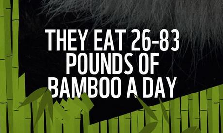 WWF Together :: app para iPad