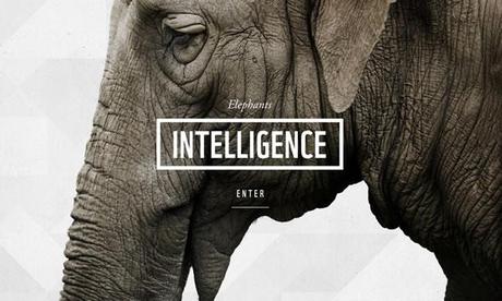 WWF Together :: app para iPad