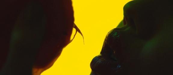 gaspar-noe-al-oscuro-servicio-de-animal-collective