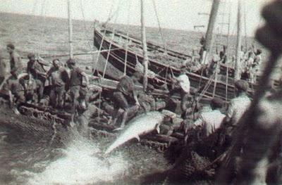 La Almadraba de Tabarca