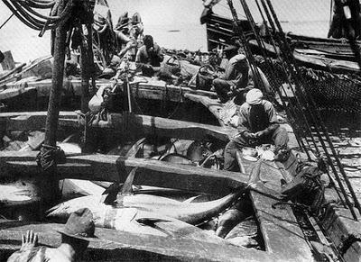 La Almadraba de Tabarca