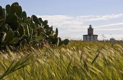 Navegación, naufragios y Faro de Nueva Tabarca