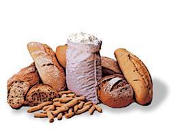 Dieta hidratos de carbono