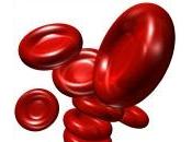 Dieta para anemia