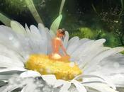 Oleg Saakyan Ilustraciones