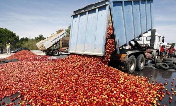 Las guerras entre productores y comercializadores provoca el desperdicio de alimentos