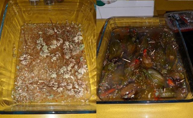 Berenjenas en vinagre 4