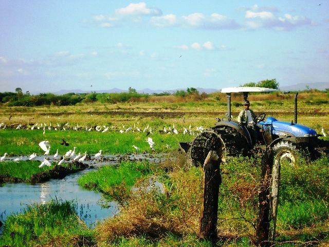 ¡Tarde campesina en Los Laureles! Tipitapa- Managua