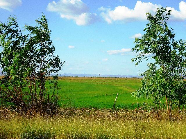 ¡Tarde campesina en Los Laureles! Tipitapa- Managua