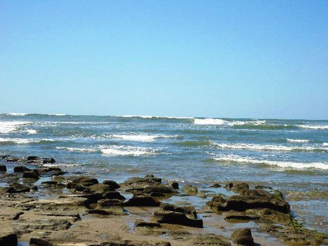 ¡Recomendación del NY Times!