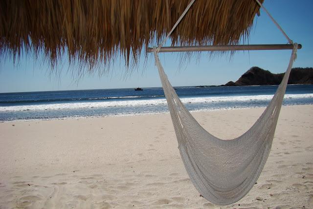 ¡Recomendación del NY Times!