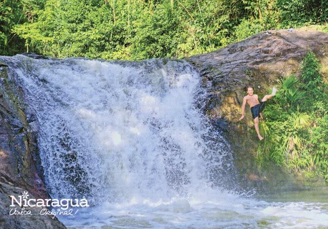 ¡Recomendación del NY Times!