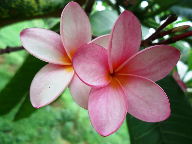 ¡Resumen 2012! Parte 2