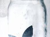 Reseña Maravilloso Desastre