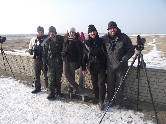 De pajareo por Holanda - Birding in Holland -- 15-19/01/2013