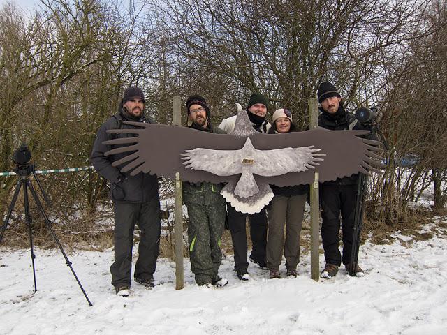 De pajareo por Holanda - Birding in Holland -- 15-19/01/2013