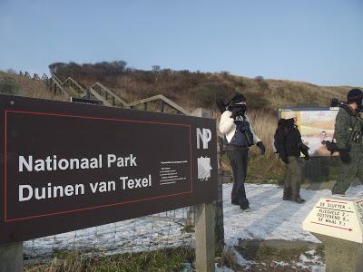 De pajareo por Holanda - Birding in Holland -- 15-19/01/2013