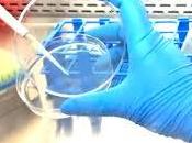 Nuevo Hidrogel Mata Bacterias Resistentes Antibióticos