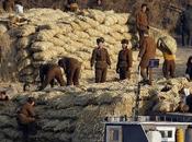 Saqueos sistematizados