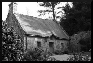 3434306803_63034d2322