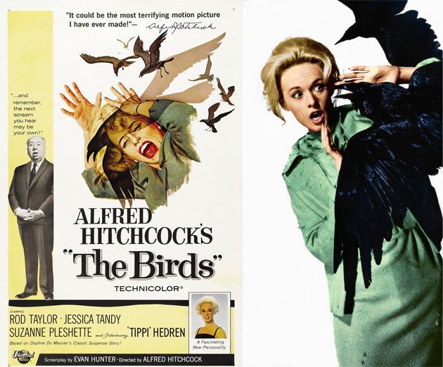 Carnaval - Disfraz tippi Hedren en Los pájaros (The Birds)