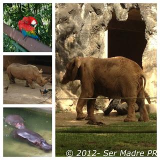 Una visita al zoológico