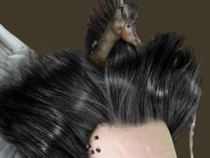 Tea time. Fotomontaje.