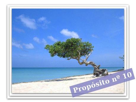 Today 31.1.13 photo Propoacutesitonordm10_zps319e31af.jpg