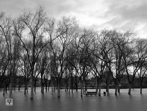 Devuélveme mi lista de la infancia …
… le susurré al polvo...