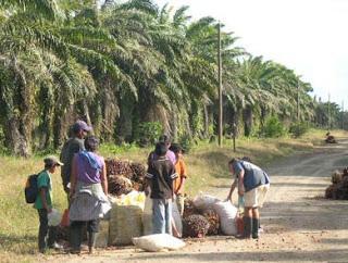 ¿Qué tienen en común un detergente y una margarina?