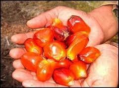 ¿Qué tienen en común un detergente y una margarina?