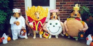 Las más divertidas mascotas disfrazadas