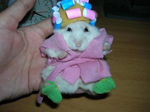 Las más divertidas mascotas disfrazadas