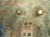 LILI BICHON, busca mundo mejor.