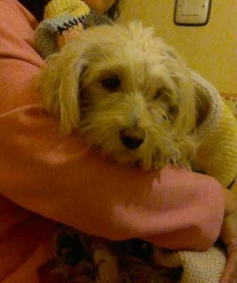 LILI BICHON, en busca de un mundo mejor.