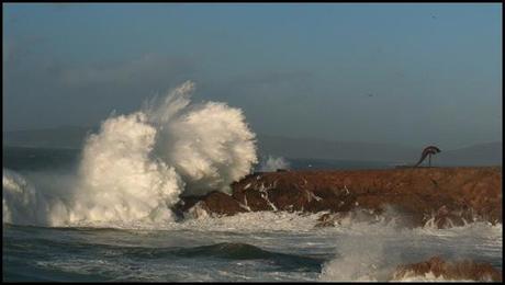 Mareas vivas Mareas vivas