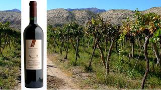 Recorriendo el 2012. Los mejores del mundo.