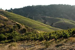 El regalo de Álvaro