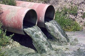 CLOACAS por Fernando Sabido Sánchez