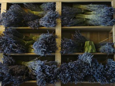 Hoy apuesto por los sueños