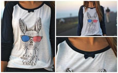 American Rabbit