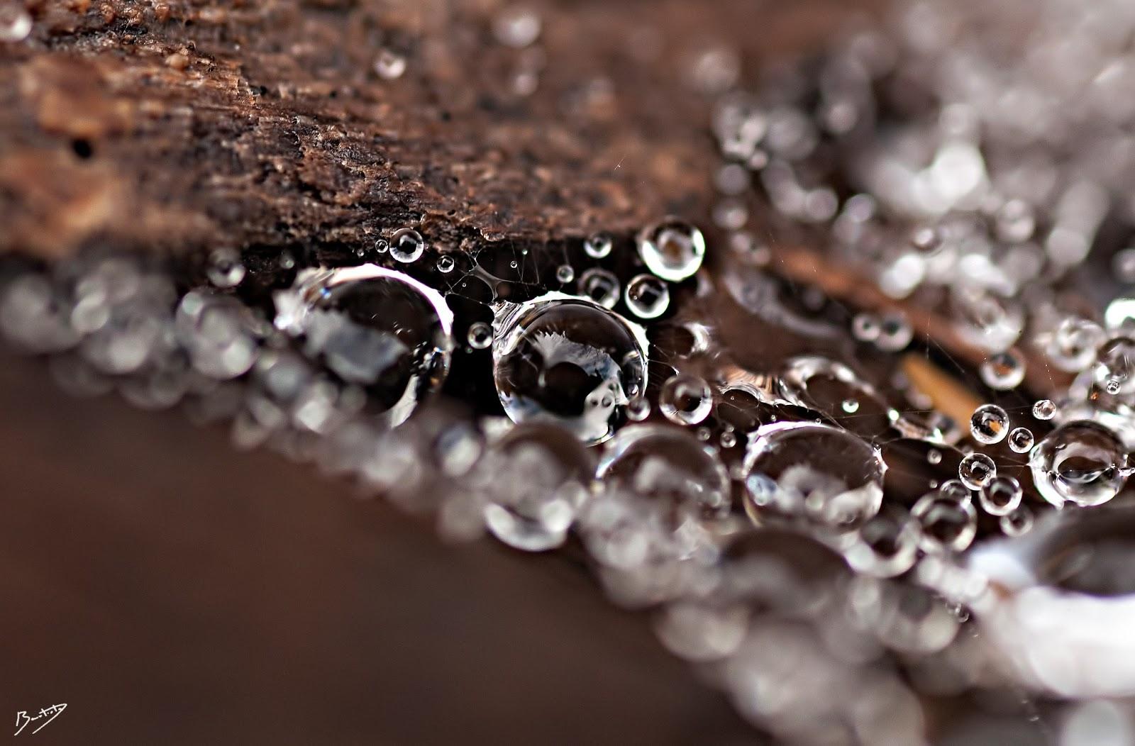 Descubriendo los placeres de usar objetos inteligentes en Photoshop