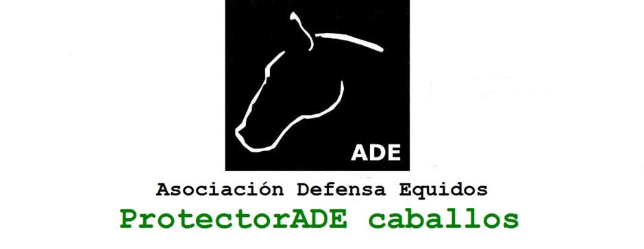 emotionheader5791540346