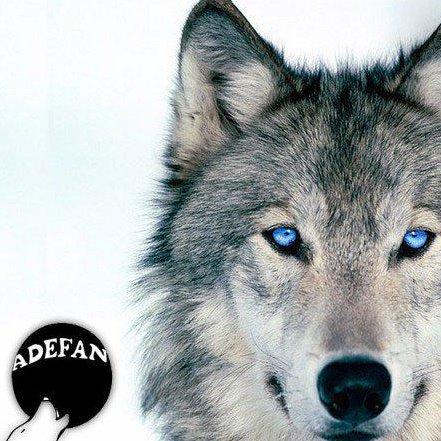 558711_10151076910743878_1310796844_n