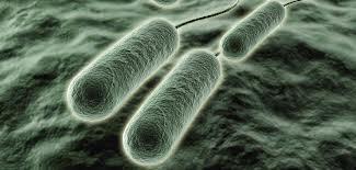 Identificando infecciones pulmonares mediante una huella respiratoria Identificando infecciones pulmonares mediante una huella respiratoria