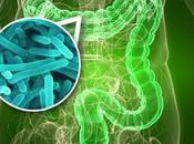 Bacterias tracto intestinal podrían producir cólicos
