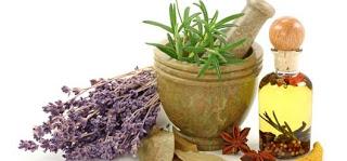 PLANTAS PARA SENTIRTE BIEN