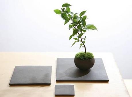 composición-de-cerámica-y-bonsáis-joven