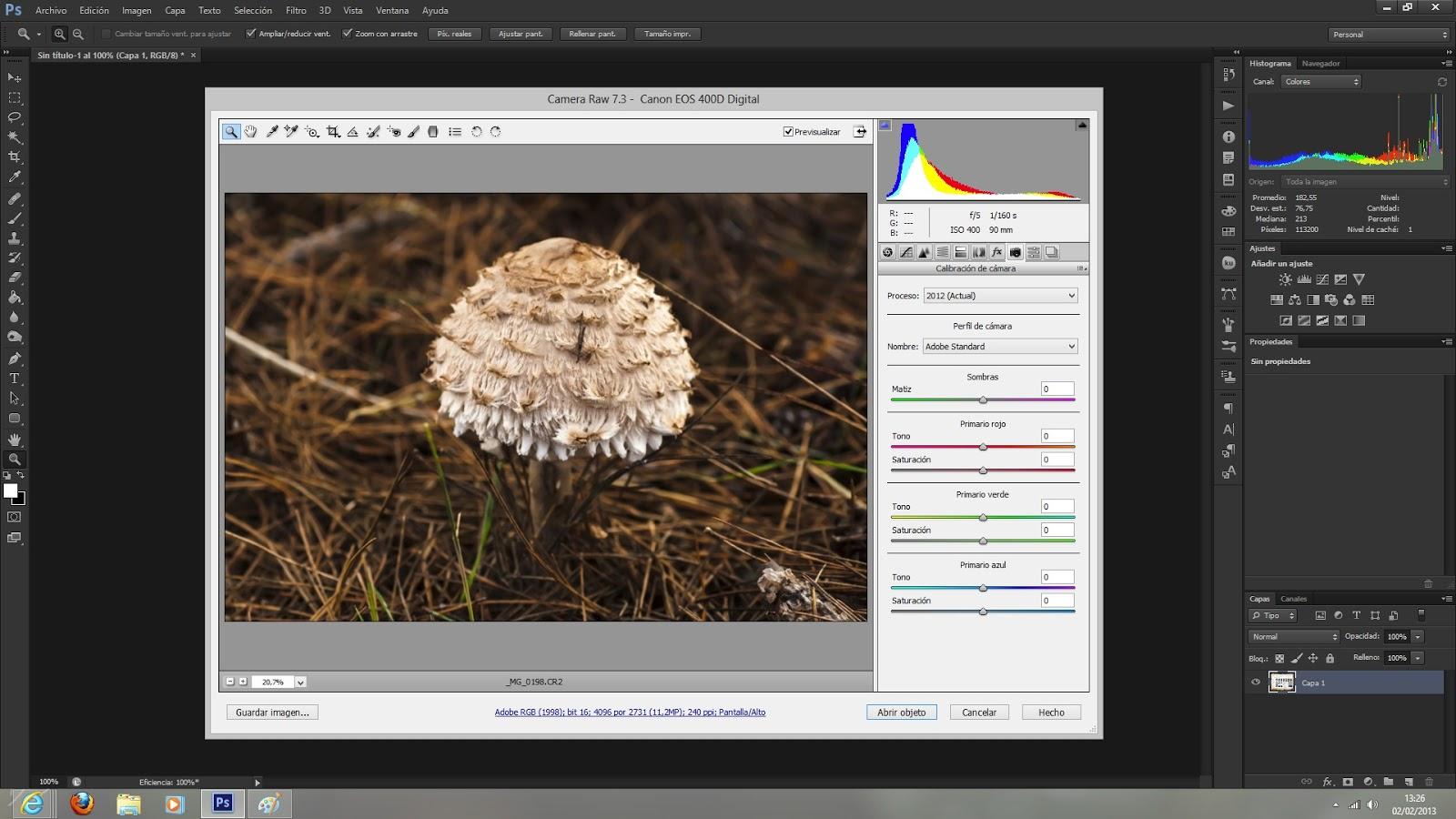 Unidad II - Trabajando con Photoshop CS6. Conceptos básicos (I)
